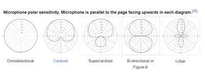 Choosing the Right Directional Microphone for Noise Testing