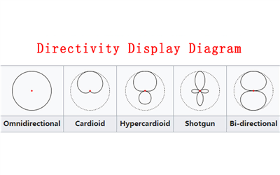 Microphone Capsule Directivity Types