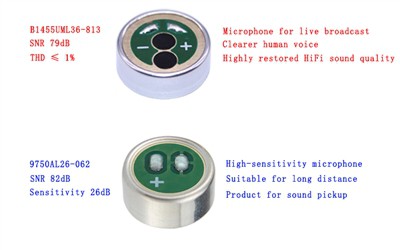 Difference Between Microphone Capsule Signal-to-Noise Ratio (SNR) and Interfe...