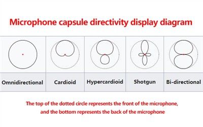 Which Microphone Directivity Is Best for Noise Testing?