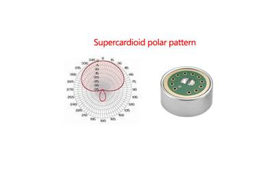 What is a Supercardioid Microphone Capsule